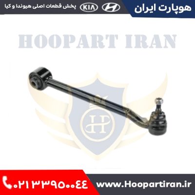 طبق جلو چپ بزرگ