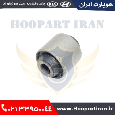 بوش مندل دوسربوش چپ