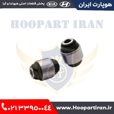 بوش سگ دست عقب ژله ای