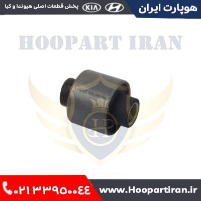 بوش سگ دست عقب بزرگ