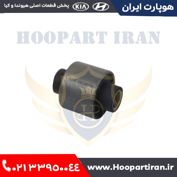 بوش سگ دست عقب بزرگ