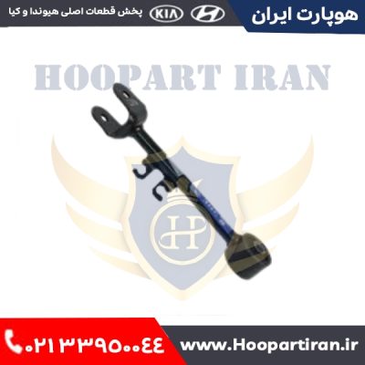 مندل یک سر بوش چپ