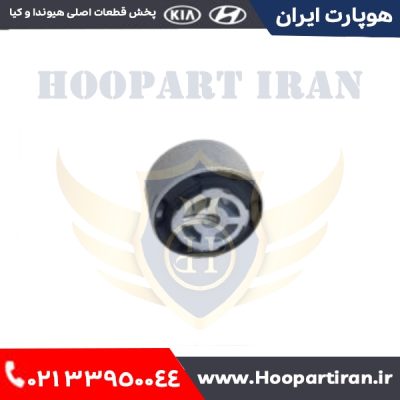 بوش داخل اکسل عقب