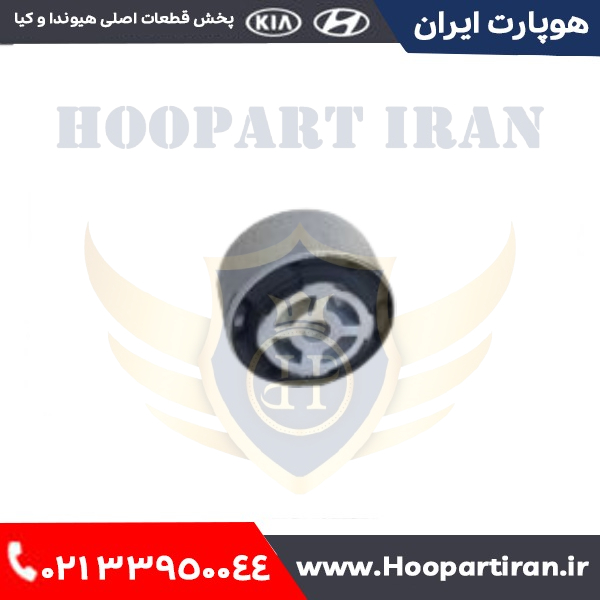 بوش داخل اکسل عقب