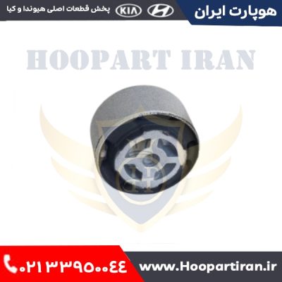 بوش نگهدارنده دف عقبی