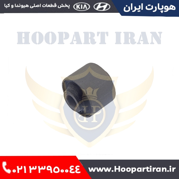 بوش سگ دست عقب کوچک