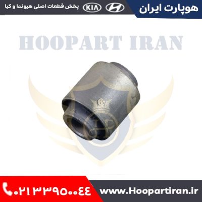 بوش سگ دست عقب کوچک